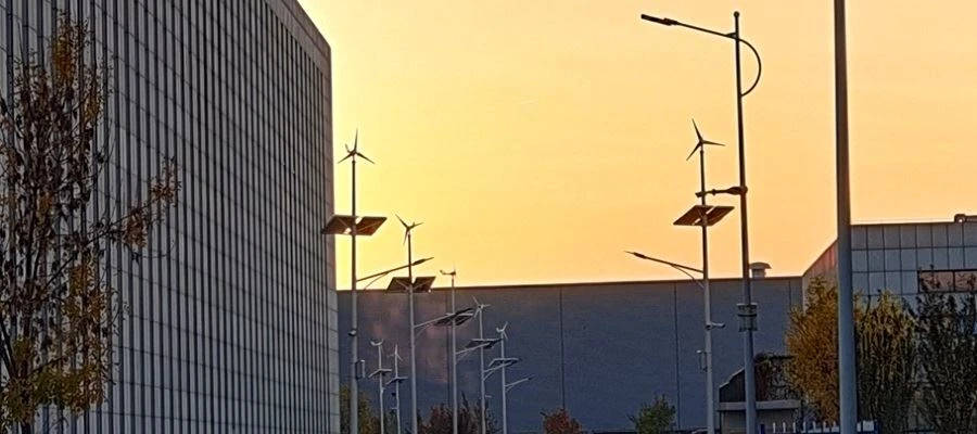 20210305054555_582649 20210305054555_582649