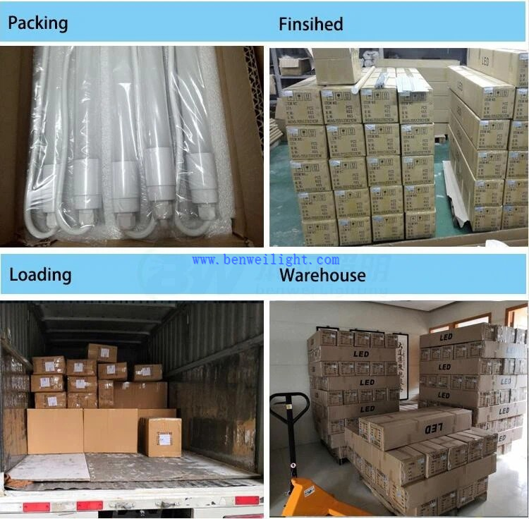 6ft t8 led tube 22 6ft t8 led tube 22