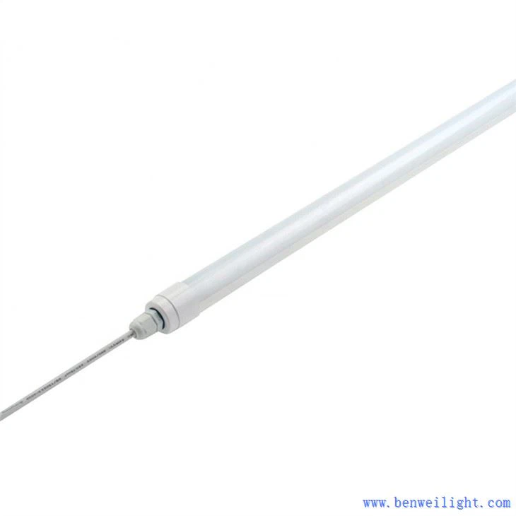 Angen Golau Uv ar ieir