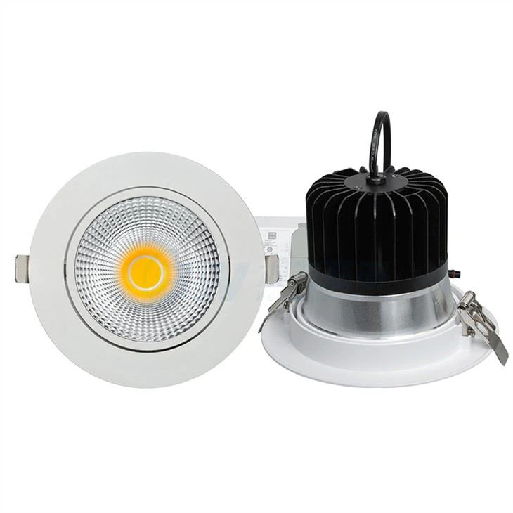 Downlight LED Toiled