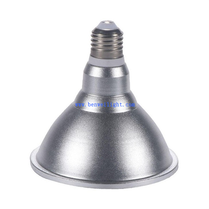 par 30 led flood