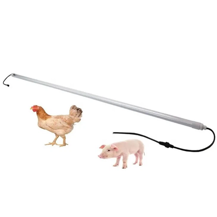 Dimmer Poultry LED Light