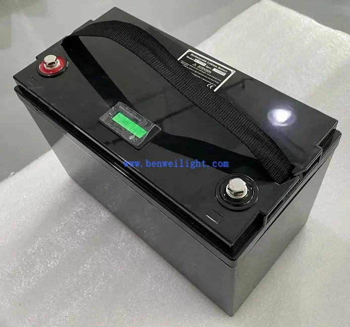 Pecyn Batri Lifepo4 24v 100ah