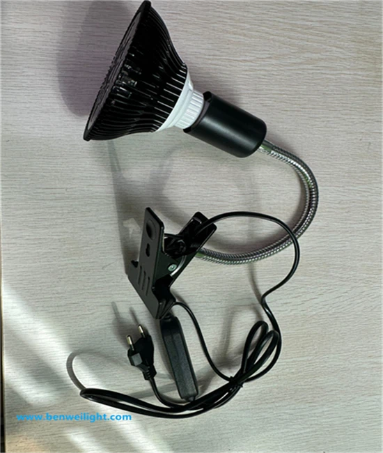 info-550-650