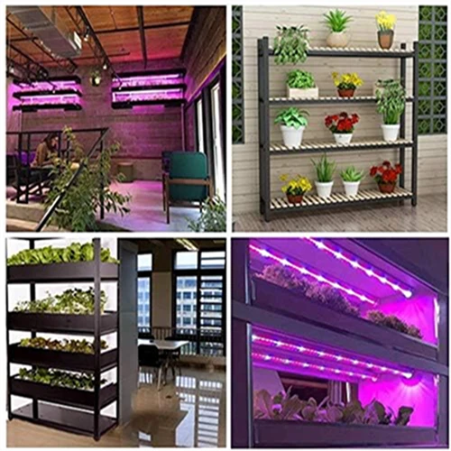 Led Plant Light Full Spectrum Grow Lights For Growing Plants Indoor suppliers