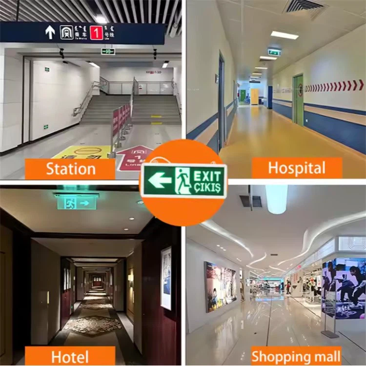 QQ20250811-094746 QQ20250811-094746