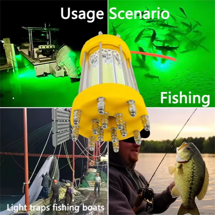 QQ20251021-175611 QQ20251021-175611