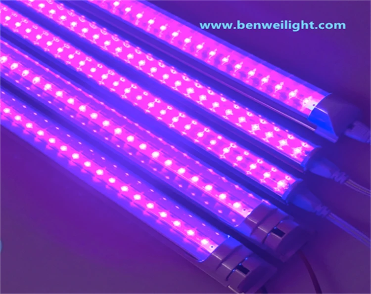 product-750-595 product-750-595